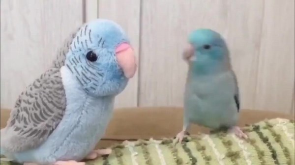 When it comes to your audio system, don’t settle for less. The mighty Q-Series Soundbar harmonizes with the powerful #NeoQLEDTV to bring you the ultimate surround sound experience. Sounds perfect for you? Learn more https://bit.ly/3SRvyr0. | Samsung