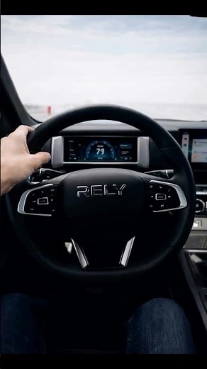 RELY Venezuela | Pickup RELY R8