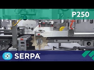 P250 Top Load Case Packer running cartons