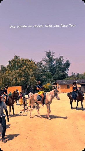 59 reactions | Lac Rose Tour En Cheval  Une balade à cheval avec...