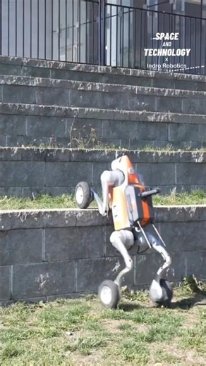 Autonomous Site Security Robot