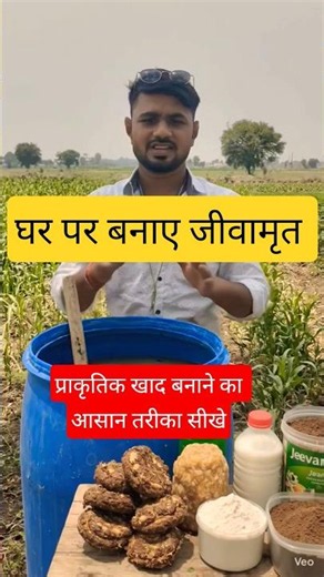 जैविक खाद जीवामृत बनाने का असली तरीका! organic fertilizer 🧪 #shorts #farming #desijugaad #जीवामृत