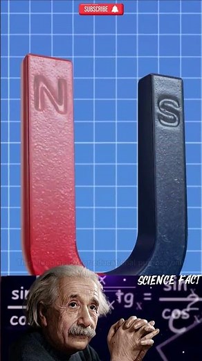 Magnetism Explained 🧲 How Magnetic Fields Really Work! #Shorts