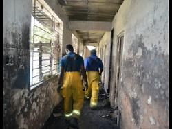 Philippa Davies | You can’t go to Government for love