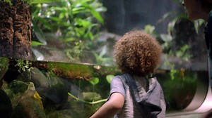 A visit to the Detroit Zoo is part of a complete childhood! Stop by the National Amphibian Conservation Center this winter for an inspiring dose of Vitamin Z. | Detroit Zoo