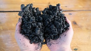 Terra Preta selber herstellen mit 5 Zutaten (Anleitung) 🌱