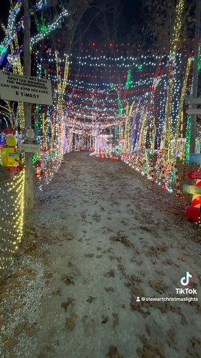 54K views · 498 reactions | Unwrap the magic with our grand Christmas...