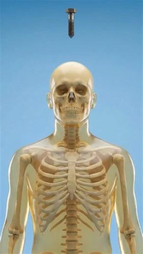 Asman khan | High Rise Drops You Won't Survive 😶‍🌫️😶‍🌫️ 😱 #viral #viralreels #facts #fyp #shortsreels | Instagram