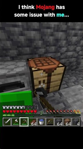 Mojang has some issue with me...