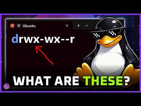 MUST Learn | LINUX File Permissions | CHMOD and File Security!