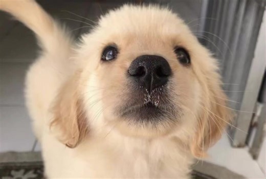 Understanding Lords of Chaos and Black Metal Culture