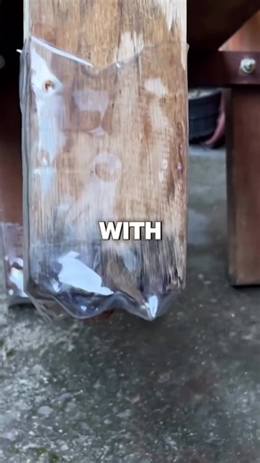 Student Success Stories in Literacy Programs