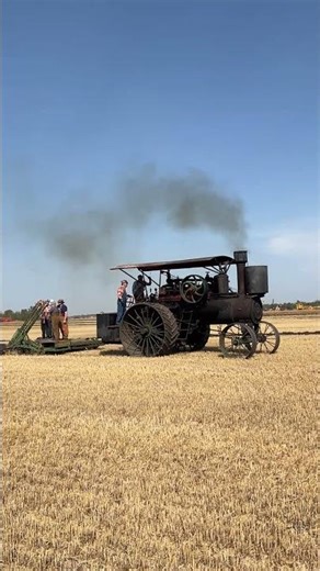 Harvest Festival 2025 - steam ploughing demonstration #antiquetractors #vintagetractors