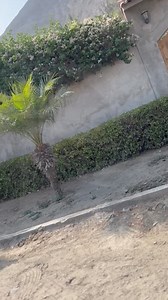 5 comments | Con tu Seguro Vehicular Plan Full de Pacifico podrás conducir con la total seguridad de que tu auto y tus seres queridos están protegidos en todo momento. | Pacífico Seguros | Facebook