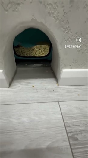 Кто там стучит#royalmatch#toonblast #homescapes#numberblocks#oddbods #spongebob#firemansam#loudhouse