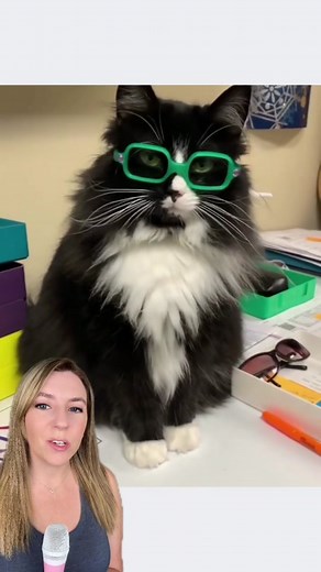 Truffles the cat wears glasses and even has her own special pair for colorblindness! Truffles is a cat ambassador for vision and helps kids feel comfortable wearing glasses. She also does important work raising awareness about different eye conditions. 🐈‍⬛ Find Truffles here: @Truffles_the_kitty In October, you can also patch a pumpkin for Truffles’s #pumpkinpatchproject raising awareness about amblyopia - see her page for more information! 🎃 P.S. if you’ve followed me since I started, you mig