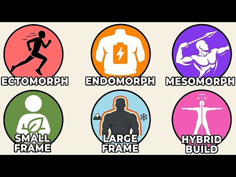 Every Hidden Evolutionary Advantage of Your Body Type Explained