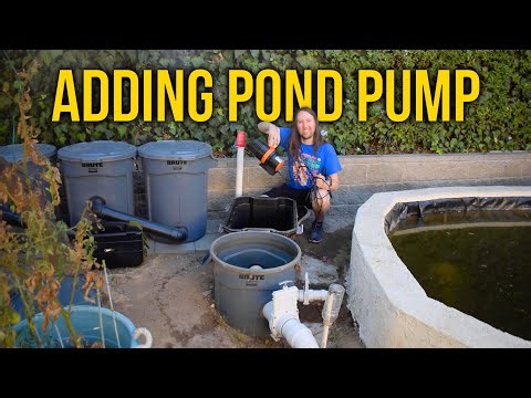DIY Pond Filter Build with New Pond Pump | Part 9