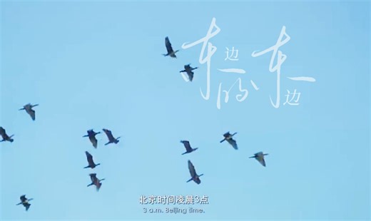 【东边的东边】：来华夏最东端看一场凌晨三点的日出吧！