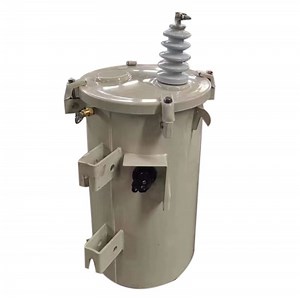[Hot Item] IEEE ANSI Single Phase Overhead Installation Type 100 kVA Pole Transformer