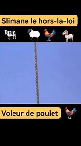 51K views · 865 reactions | Slimane le hors-la-loi et le Makssousse | Abdelhamid Hannachi | Facebook