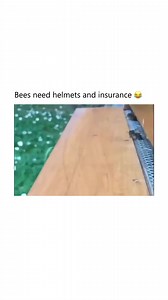 415K views · 8.2K reactions | Hilarious Ted on Reels | Facebook