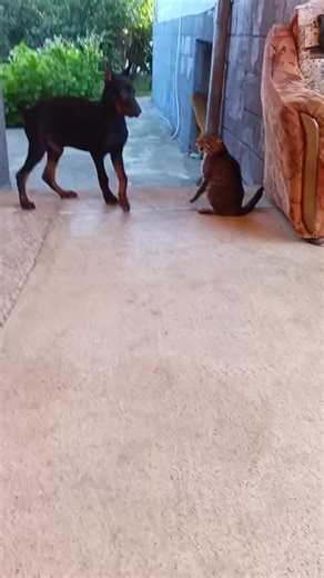 krasivie_mesta_v_abkhazii (@krasivie_mesta_v_abkhazi)’s videos with оригинальный звук - krasivie_mesta_v_abkhazii