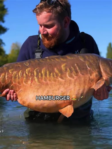 Hamburger 🍔 #fishing #fishinguk #fyp