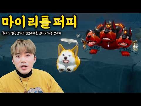 저승에서도 아빠 찾으러 가는 강아지 ㅋㅋㅋ [마이리틀퍼피]