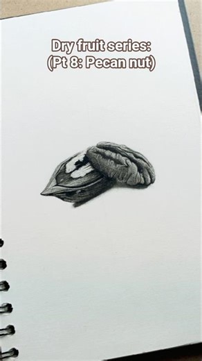 realistic drawing challenge series pt 8: Pecan nut✏️😊#charcoaldrawing #pencilsketchings #artist