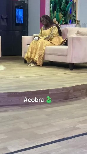 Elegant Interview Setting on a Pink Sofa