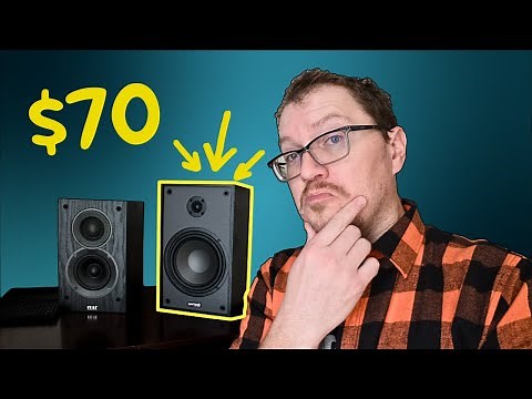 $70 Speakers in 2025?? Dayton B65 Classic Review