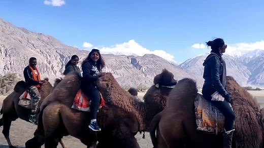 a ride on the Bactrian Came #mytravellog