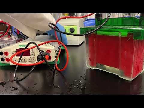 How to set up a Western Transfer