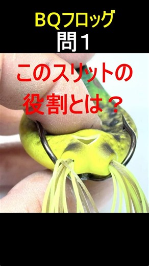 このスリットの名称と役割とは？【BQフロッグ】 #shorts