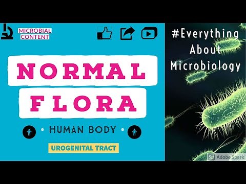 NORMAL FLORA PART- 3 | UROGENITAL TRACT | MICROBIOLOGY