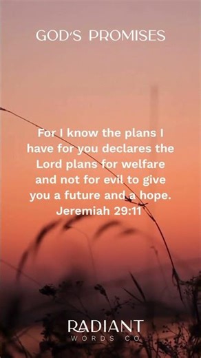 God’s Promises — Plans To Prosper You | Jeremiah 29:11 #YouTubeShorts #Followers