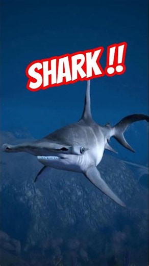 GTA5 How to Become a SHARK