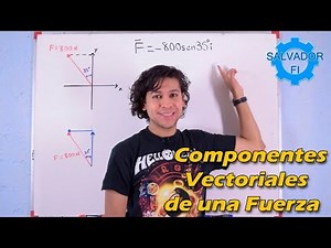 Vector Decomposition of a Force STEP BY STEP for Beginners - Salvador FI