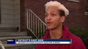 Massive 18-foot python trapped on roof of garage in Detroit. Here's how she got there