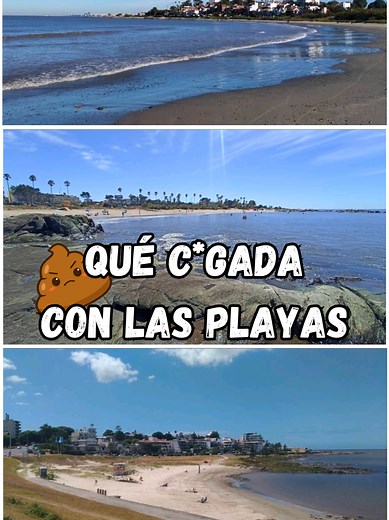 Contaminación en playas de Montevideo: alarma sanitaria