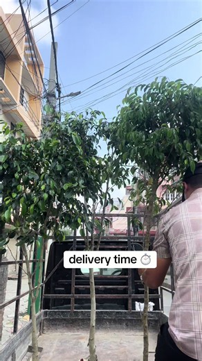 Kalikaflowers delivery time: fast flower delivery explained