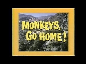 Monkeys, Go Home!/Home media
