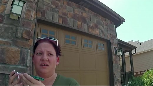 American. Murder. The. Family. Next. Door. 2020. 1080p. NF. WEB