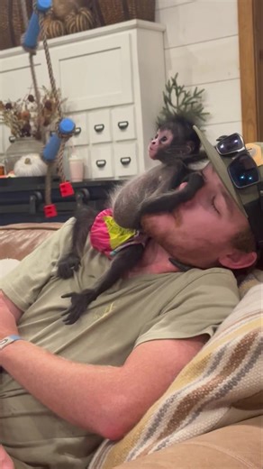 1.1M views · 66K reactions | Cricket is very smitten with Austin勺 | Our Life Adventures | Facebook