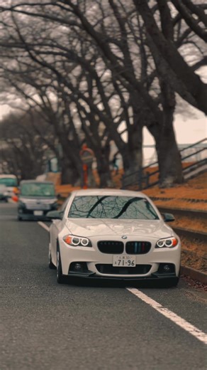 Experiencing the Thrill of Driving a Beemer
