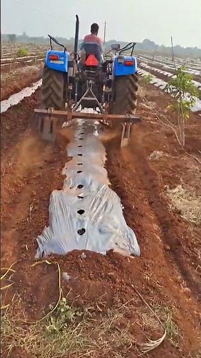Mulching paper making easy method#farming
