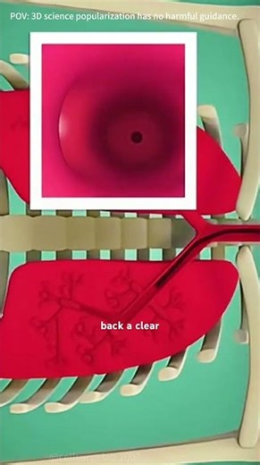 Bronchoscopy #medical #medical3danimation #medical3d #bronchoscopy #bronchoscope #bronchoscopie