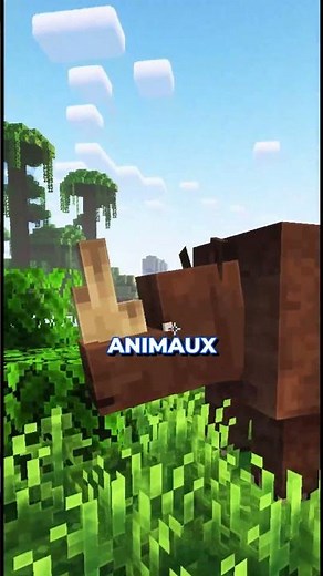 ⏫ Rejoins le Discord en bio ⏫
