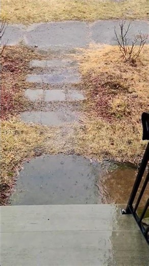 Raindrops & Renewal: Goodbye Winter, Hello Spring 💧💚